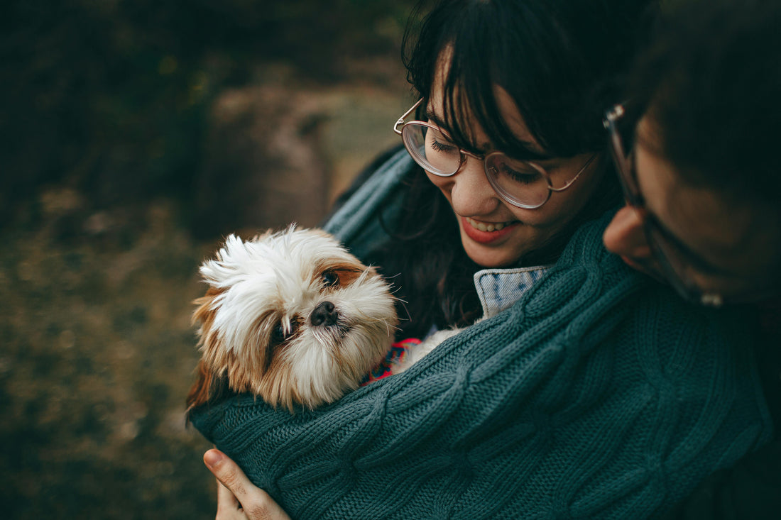 Pet Insurance: Why It’s Worth It – An In-Depth Look